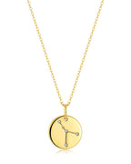 Cancer Zodiac Sign Coin Necklace
