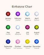 December Birthstone & Birth Flower Necklace