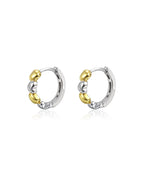 Mixed Metal Small Hoop Earrings