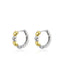 Mixed Metal Small Hoop Earrings