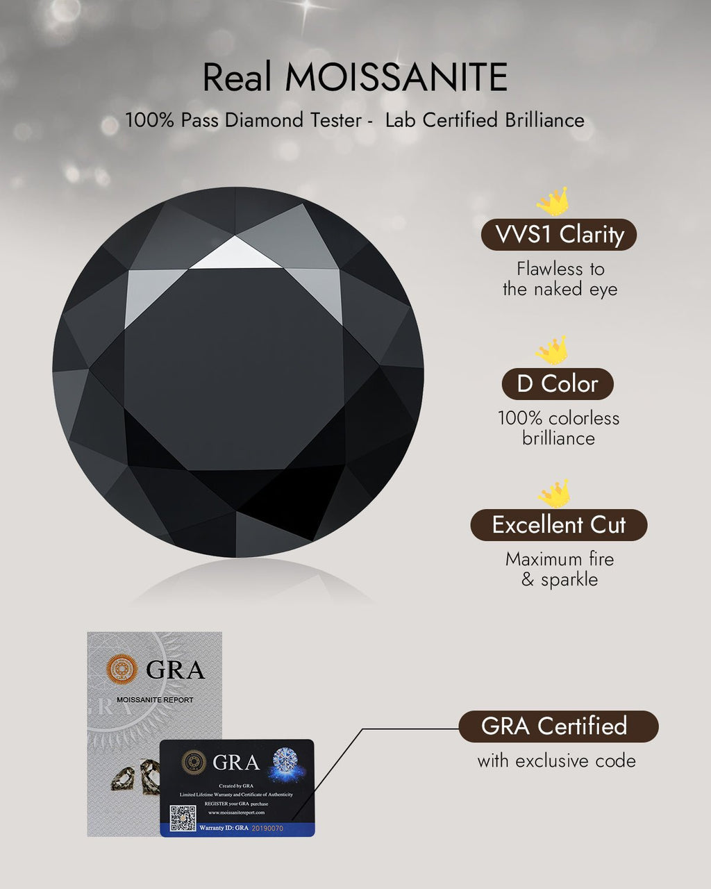 Molenia Black Moissanite Stud Earrings