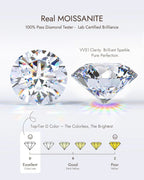 Molenia Halo Moissanite Stud Earrings