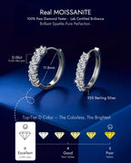 Molenia Moissanite Hoop Earrings