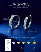 Molenia Moissanite Hoop Earrings