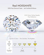 Molenia Moissanite Stud Earrings