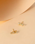 Zodiac Constellation Stud Earrings | 14K Gold Plated