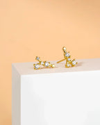 Zodiac Constellation Stud Earrings | 14K Gold Plated