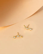 Zodiac Constellation Stud Earrings | 14K Gold Plated